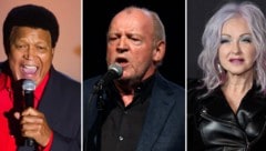 Cubby Checker (2014), Joe Cocker (2011) und Cyndi Lauper (2021) (Bild: AP/AP ( via APA) Austria Presse Agentur)