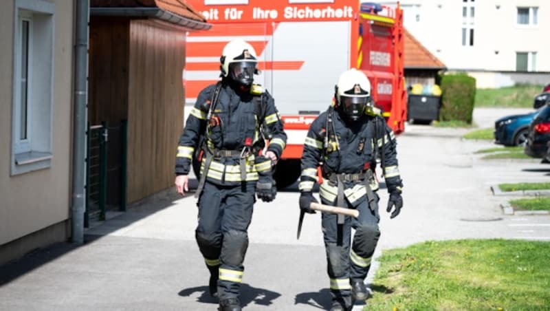(Bild: Molnar Attila)