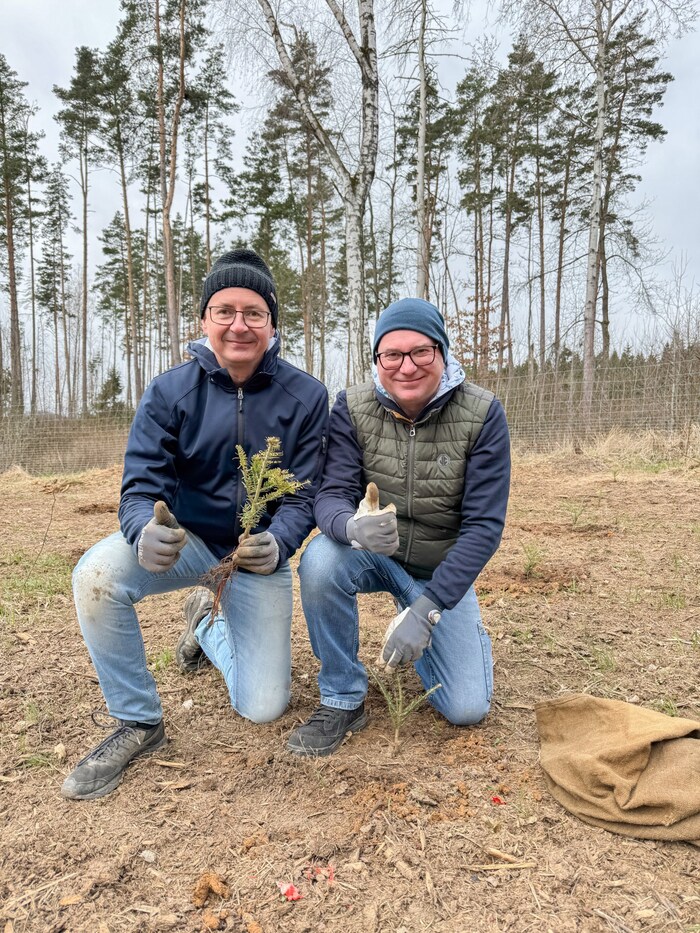 Die kleinen Bäumchen werden rasch-Wurzeln in der Waldviertler Erde schlagen. 