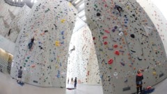 Innsbruck macht es vor: In Tiroler gibt es ein großes Kletterzentrum für Profis und Hobby-Sportler. (Bild: Birbaumer Christof)