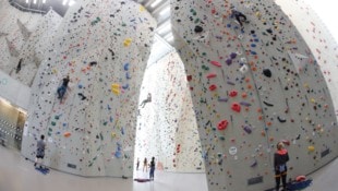 Innsbruck macht es vor: In Tiroler gibt es ein großes Kletterzentrum für Profis und Hobby-Sportler. (Bild: Birbaumer Christof)