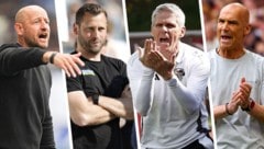 Stephan Helm, Jürgen Säumel, Didi Kühbauer oder Thomas Letsch (v. li.): Wer holt seinen ersten Liga-Titel als Trainer? (Bild: Krone KREATIV/Scheriau/APA/picturedesk Andreas Tröster EXPA)