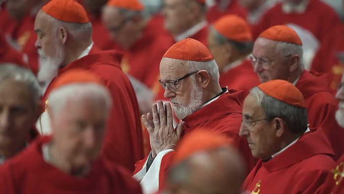 Kardinäle beim Gebet am dritten Trauertag nach dem Papst-Begräbnis