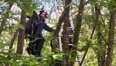 Der 60-Jährige blieb fünf Meter über dem Boden in einer Baumkrone hängen. (Bild: Feuerwehr Greifenburg)