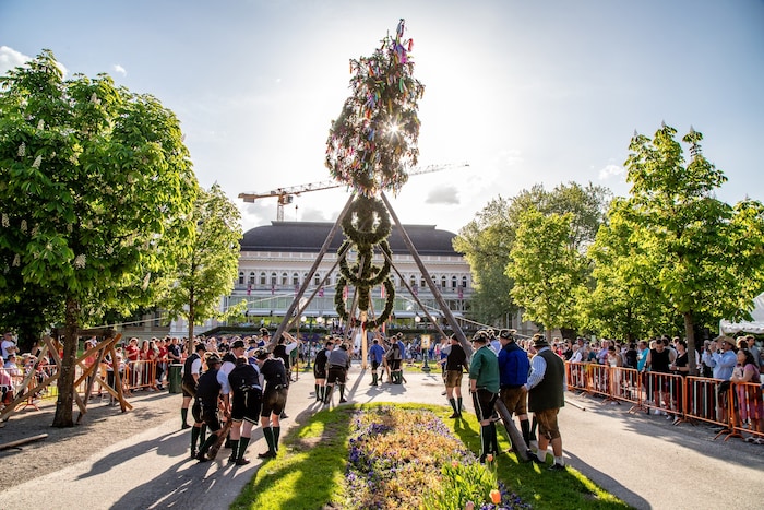 Der Trachtenverein D’Ischler lädt zum traditionellen Maibaumaufstellen per Hand mit Schwoagln und Gabeln in den Kurpark Bad Ischl. Für das leibliche Wohl ist gesorgt. Musikalische Begleitung durch die Trichterblattlmusi. Datum: 30. April ab 17 Uhr Infolink: www.salzkammergut-tracht.at
