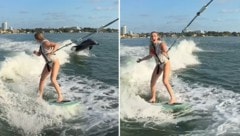 Lindsey Vonn surft mit Delphinen. (Bild: instagram.com/lindseyvonn)