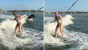 Lindsey Vonn surft mit Delphinen. (Bild: instagram.com/lindseyvonn)