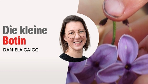 (Bild: Krone KREATIV/Daniela Gaigg)