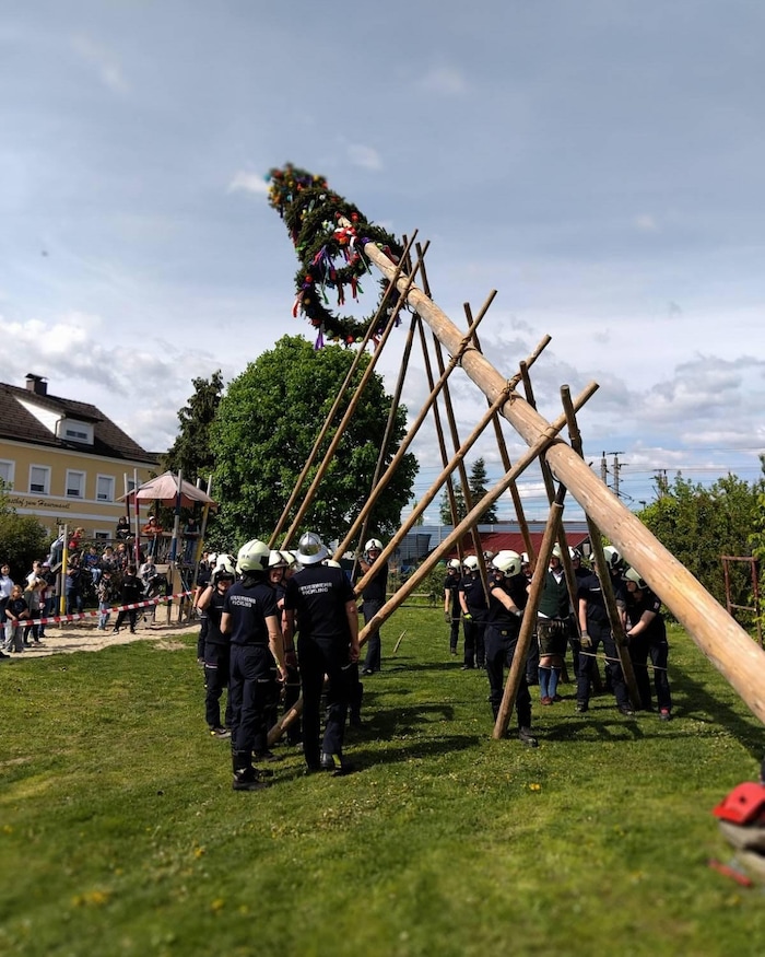 Am 27. April, das war der Sonntag, stellten die Pichlinger Feuerwehrleute ihren Maibaum auf. ...