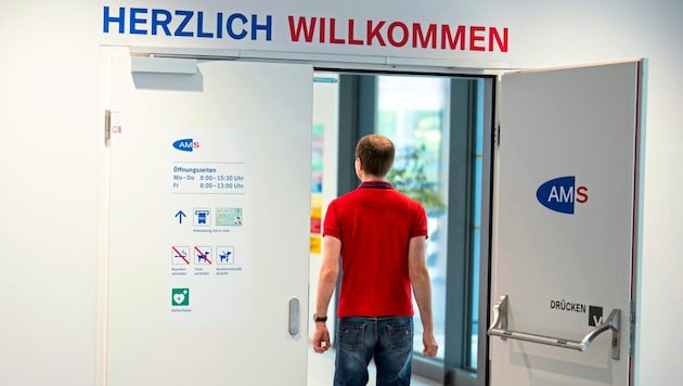 (Bild: APA/GEORG HOCHMUTH / APA / picturedesk.com)