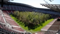Einst ragten Bäume im Klagenfurter Stadion empor – jetzt wollen WAC und Hartberg in den Fußball-Himmel aufsteigen. (Bild: Rojsek-Wiedergut Uta)