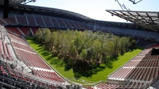 Einst ragten Bäume im Klagenfurter Stadion empor – jetzt wollen WAC und Hartberg in den Fußball-Himmel aufsteigen. (Bild: Rojsek-Wiedergut Uta)