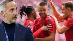 Adi Hütter freut sich über einen Bayern! (Bild: Krone KREATIV/afp, gepa)