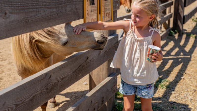 Merlin‘s Farm. (Bild: Family City)