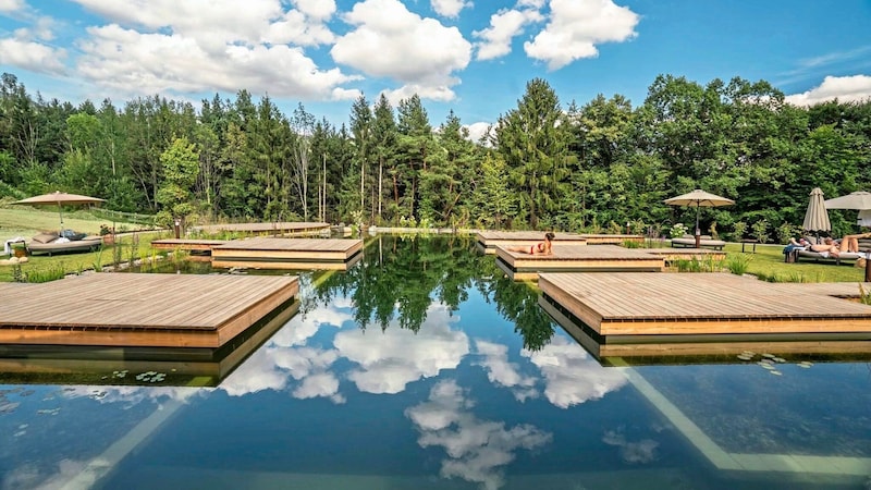 Der erfrischende Naturteich (Bild: Bio-Natur-Resort Retter)
