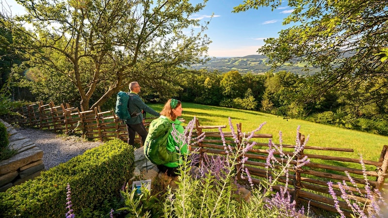 Wandern im Naturpark Pöllauer Tal. Und nur dort gedeiht die Pöllauer Hirschbirne, die besonders destilliert als Schnaps hervorragend mundet. (Bild: Seiermark Tourismus / pixelmaker.at)