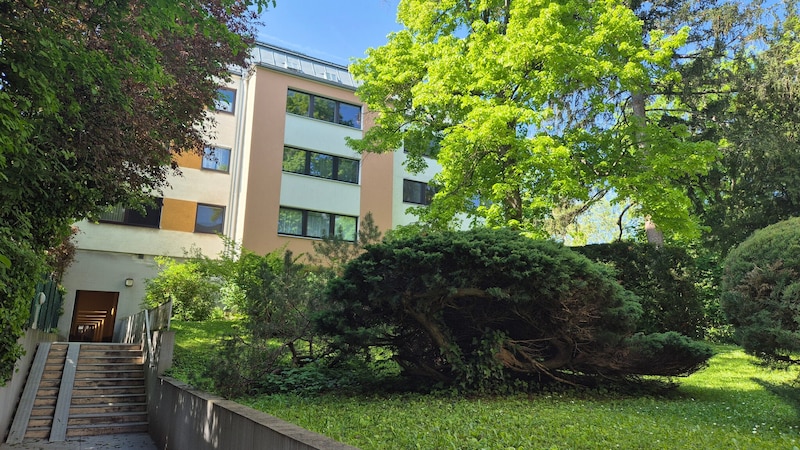 Der 28-Jährige lebte in Hietzing, hatte zur Spiegelgasse in der Innenstadt keinen Bezug.  (Bild: Stefan Steinkogler)