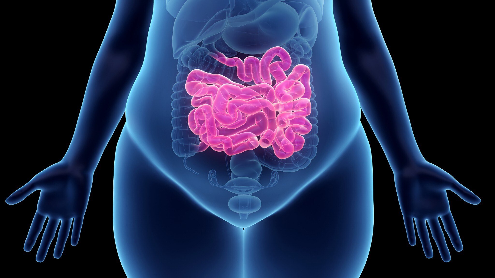 Ist Magnesium Gut Für Den Darm www.krone.at