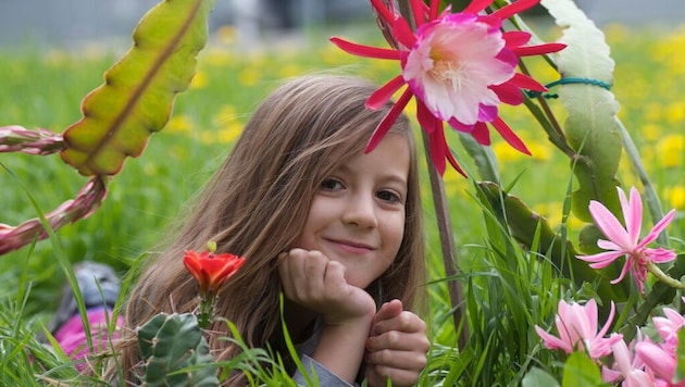 Pflanzenherz was willst du mehr? Winterharte Orchideen, Blütenstauden, und viele verschiedene Kakteenarten erwartet die Besucher. (Bild: Mario Tamegger)