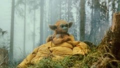 „Die Legende von Ochi“: ab sofort im Kino.  (Bild: A24)