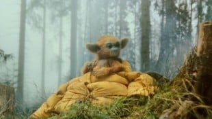 „Die Legende von Ochi“: ab sofort im Kino.  (Bild: A24)