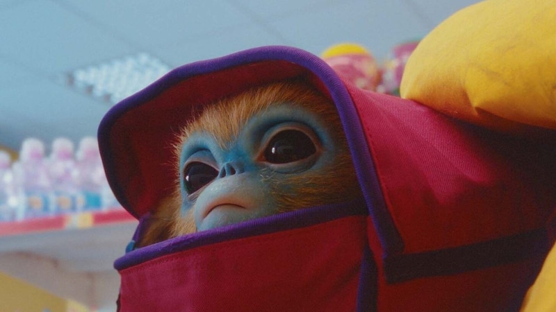 „Die Legende von Ochi“: niedliche Fantasiewesen, die ein wenig an E.T. erinnern.  (Bild: A24)