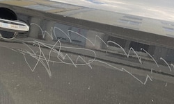 Auch hier war die Autokratzerin am Werk.