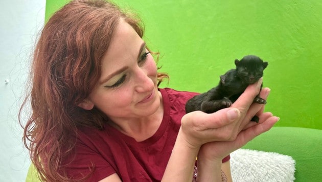 Betreuerin Katrin mit einem der im Müll entsorgten Kätzchen (Bild: Tierheim Krems)