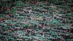 Ob die Rapid-Fans am 20. Juli ihre Mannschaft zum Sieg gegen Union Berlin treiben können? (Bild: GEPA)