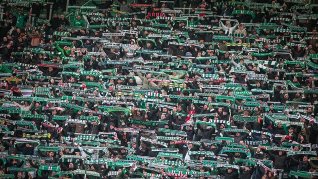 Ob die Rapid-Fans am 20. Juli ihre Mannschaft zum Sieg gegen Union Berlin treiben können? (Bild: GEPA)