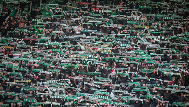 Ob die Rapid-Fans am 20. Juli ihre Mannschaft zum Sieg gegen Union Berlin treiben können? (Bild: GEPA)