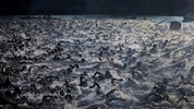 - (Bild: AP/Chris Stewart)