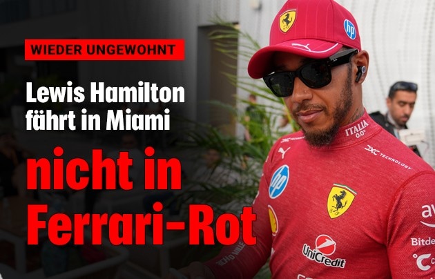 (Bild: Krone KREATIV/AP)