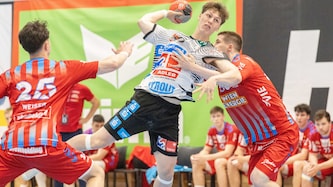 (Bild: GEPA pictures)