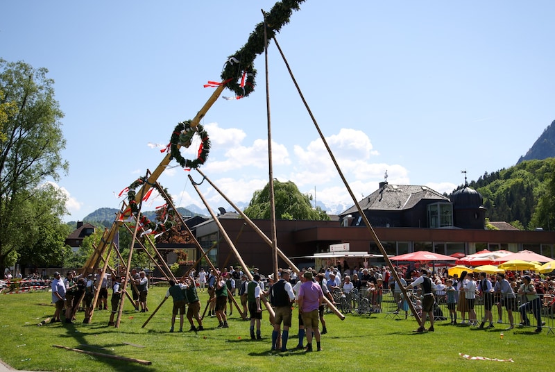 Maibaumaufstellen in Grödig (Bild: Tröster Andreas)