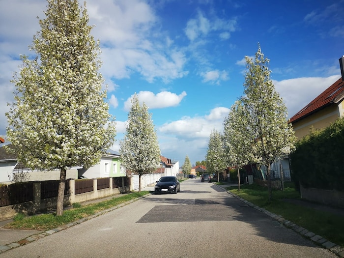 In einer Straße wurde die Beleuchtung neu gemacht.
