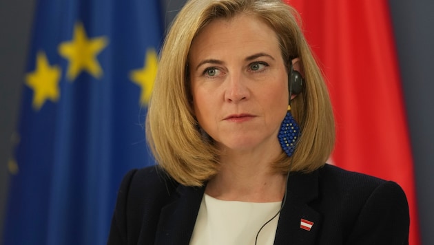 Meinl-Reisinger zieht aktuell den Zorn eines bosnisch-serbischen Extremisten auf sich.