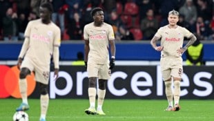 Im Herbst noch Champions League mit Salzburg, nun vor dem endgültigen Absprung: Lucas Gourna-Douath (M.) und Kamil Piatkowski. (Bild: GEPA)