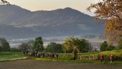 Der Vierbergelauf hat eine lange Tradition in Kärnten (Bild: Clara-Milena Steiner)