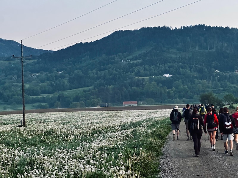 Die Puste geht neben den verblühten Löwenzähnen nicht aus.  (Bild: Clara-Milena Steiner)