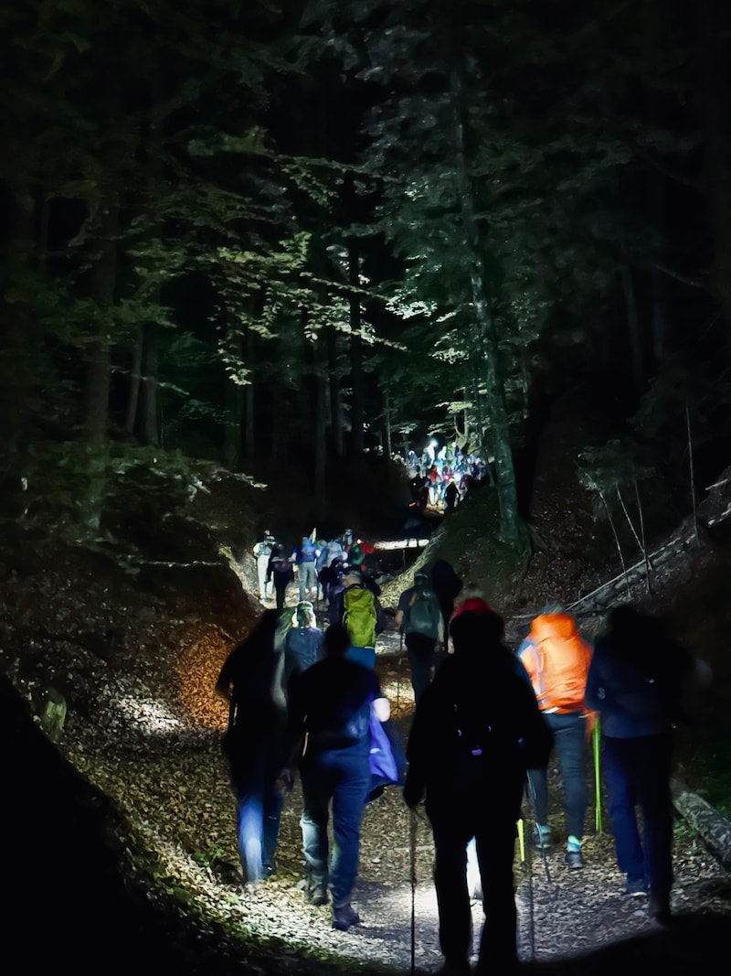 Der Wald wird von den vielen Lichtquellen hell erleuchtet. (Bild: Clara-Milena Steiner)