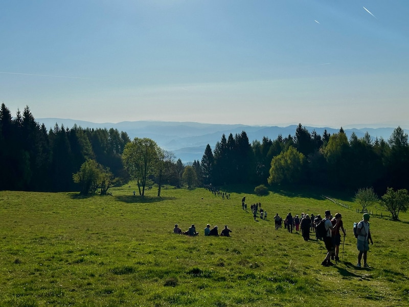 Im Gänsemarsch geht`s vorran. (Bild: Clara-Milena Steiner)
