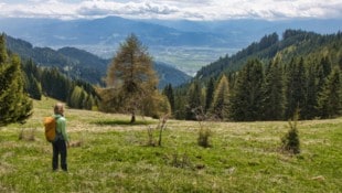 Eine Auszeit vom Alltag bietet diese reizvolle Tour mit stimmungsvollen Aussichtspunkten. (Bild: Weges)