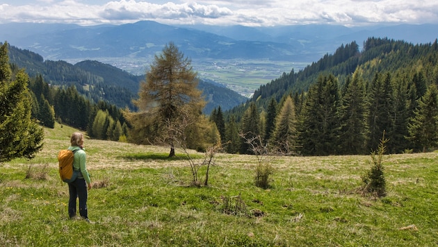 Eine Auszeit vom Alltag bietet diese reizvolle Tour mit stimmungsvollen Aussichtspunkten. (Bild: Weges)