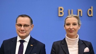 Unter Tino Chrupalla und Alice Weidel knackte das Parteivermögen der AfD die ...