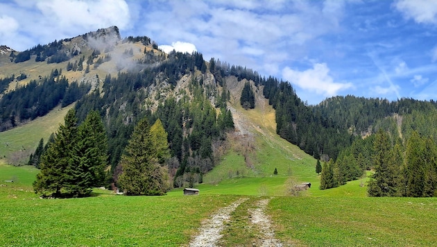 Der Eingang ins nahezu unberührte Zalimtal (Bild: Bergauer Rubina)