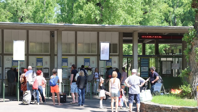 Wer sich jetzt noch keinen Saisonpass geholt hat, könnte bei den Kassenschaltern ins Schwitzen geraten. Bei den sommerlichen Temperaturen wird eine lange Schlange erwartet. (Bild: Zwefo)