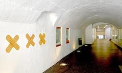 Die James-Joyce-Passage in Feldkirch erinnert heute noch an den Besuch des berühmten ...