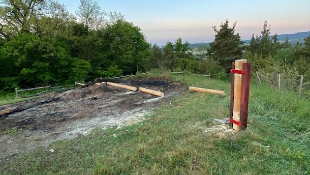 Umgeschnittener Maibaum in der Gemeinde Weppersdorf. (Bild: SPÖ Weppersdorf)