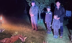 Halali in Nickelsdorf: René Benko und LLI-Chef Josef Pröll (li.)